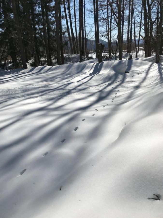 Hakuba Cottage Gram מראה חיצוני תמונה