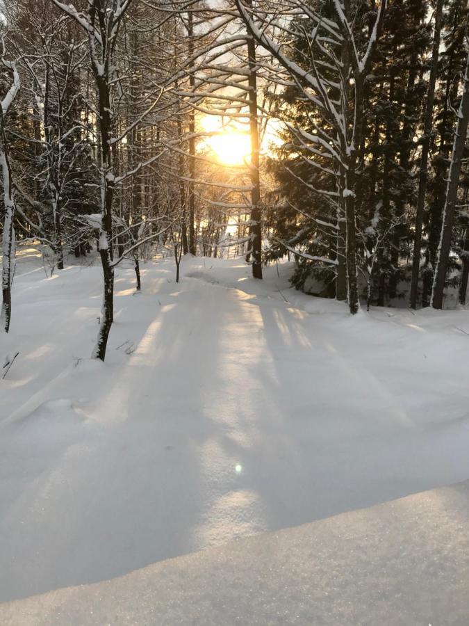 Hakuba Cottage Gram מראה חיצוני תמונה
