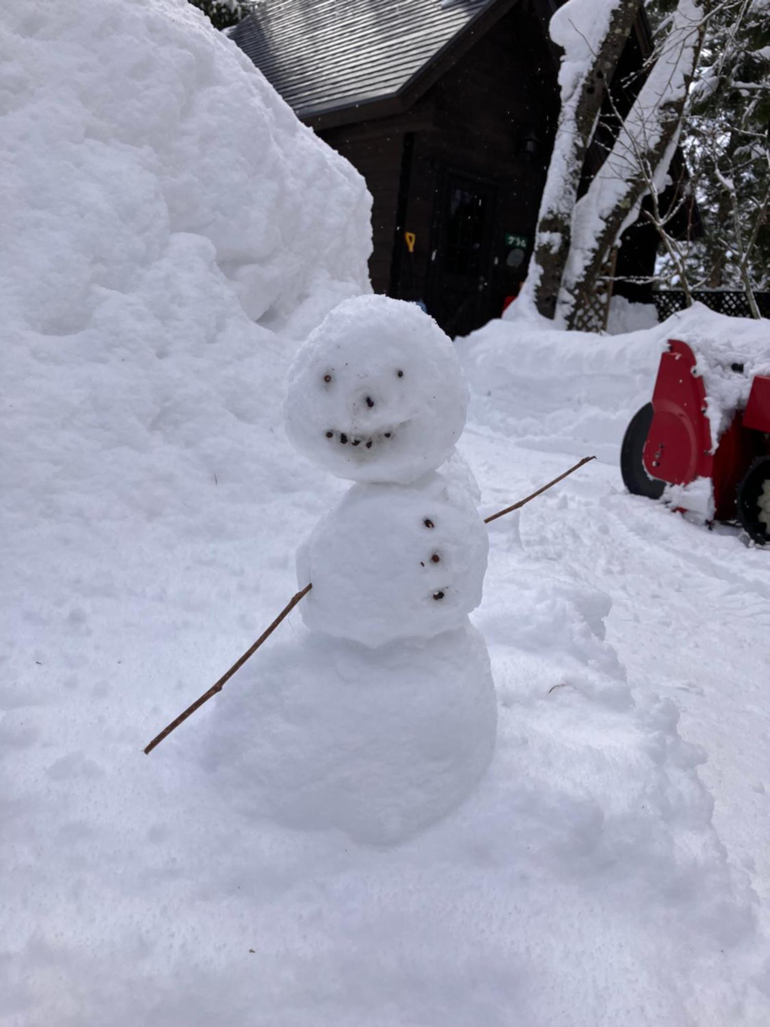 Hakuba Cottage Gram מראה חיצוני תמונה