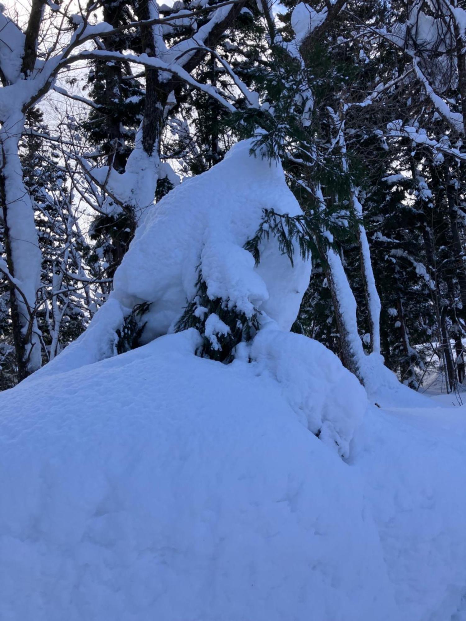 Hakuba Cottage Gram מראה חיצוני תמונה