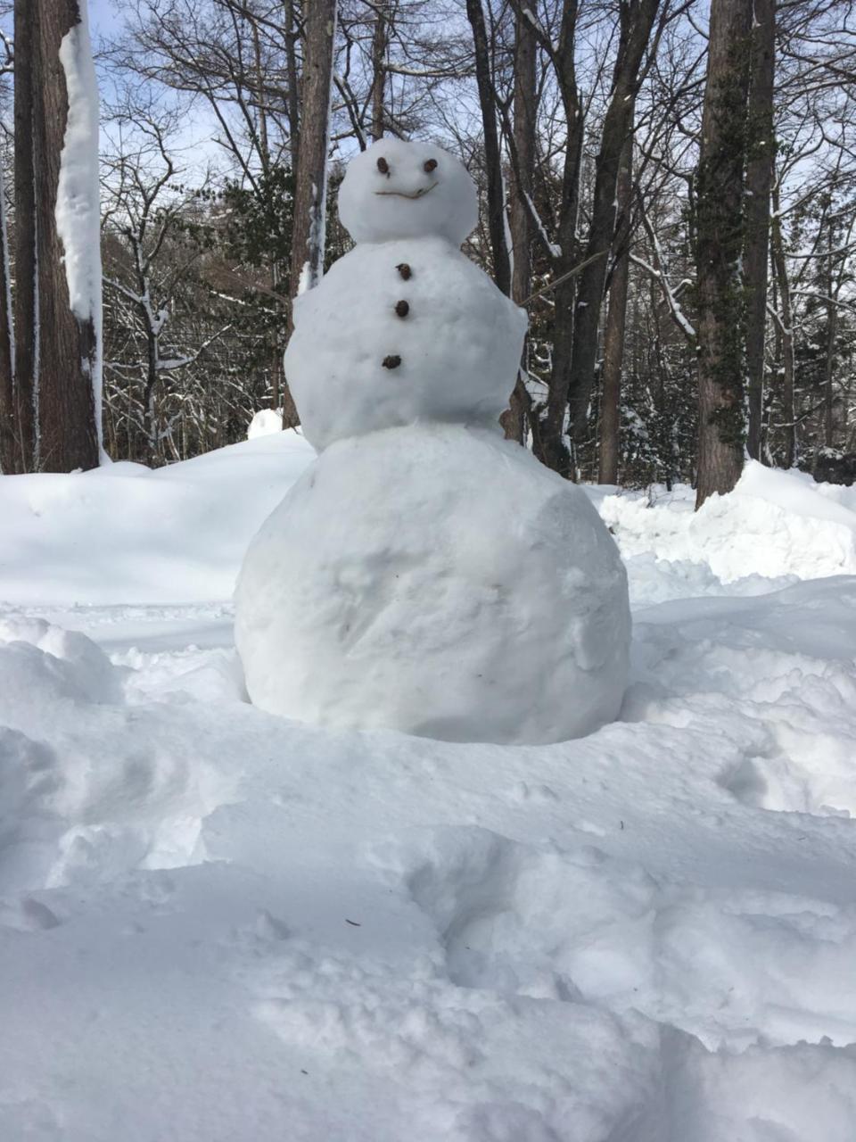 Hakuba Cottage Gram מראה חיצוני תמונה