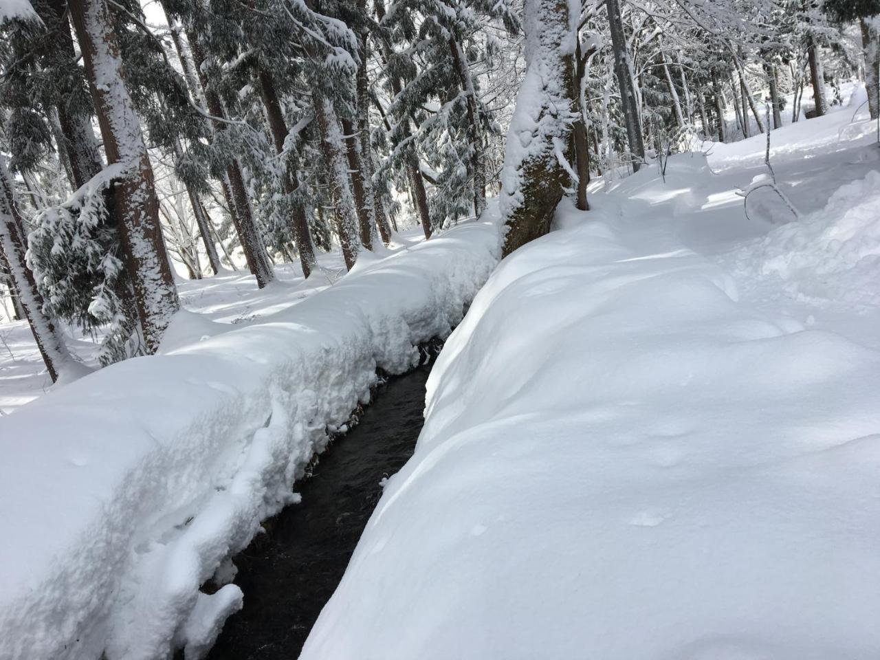 Hakuba Cottage Gram מראה חיצוני תמונה