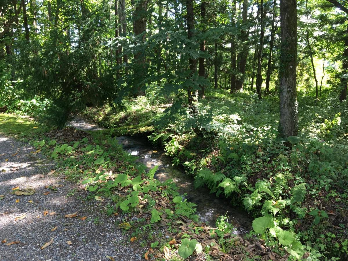 Hakuba Cottage Gram מראה חיצוני תמונה