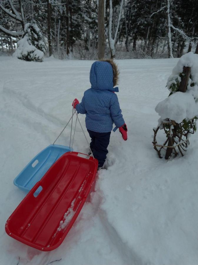 Hakuba Cottage Gram מראה חיצוני תמונה